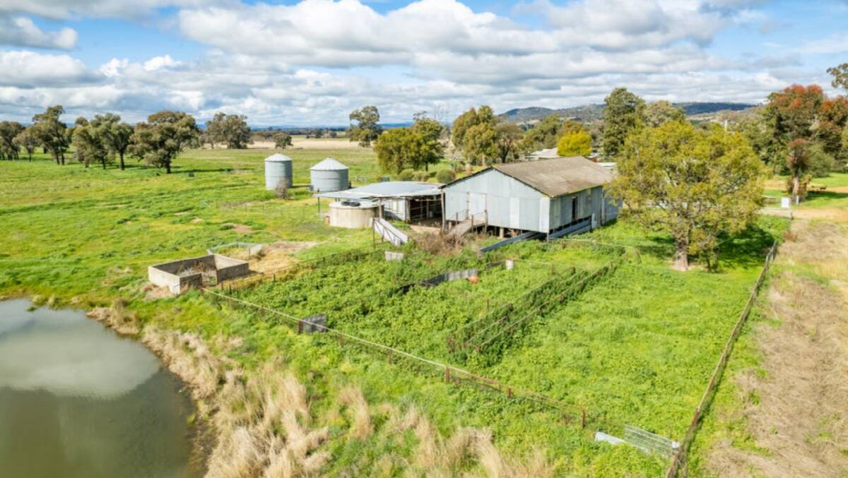 Improvements include a two stand shearing shed combining a workshop and machinery storage.