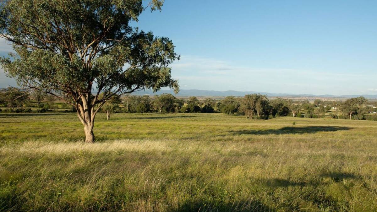 Offers are now being sought on the versatile 454 hectare Tamworth district property Wybalena.