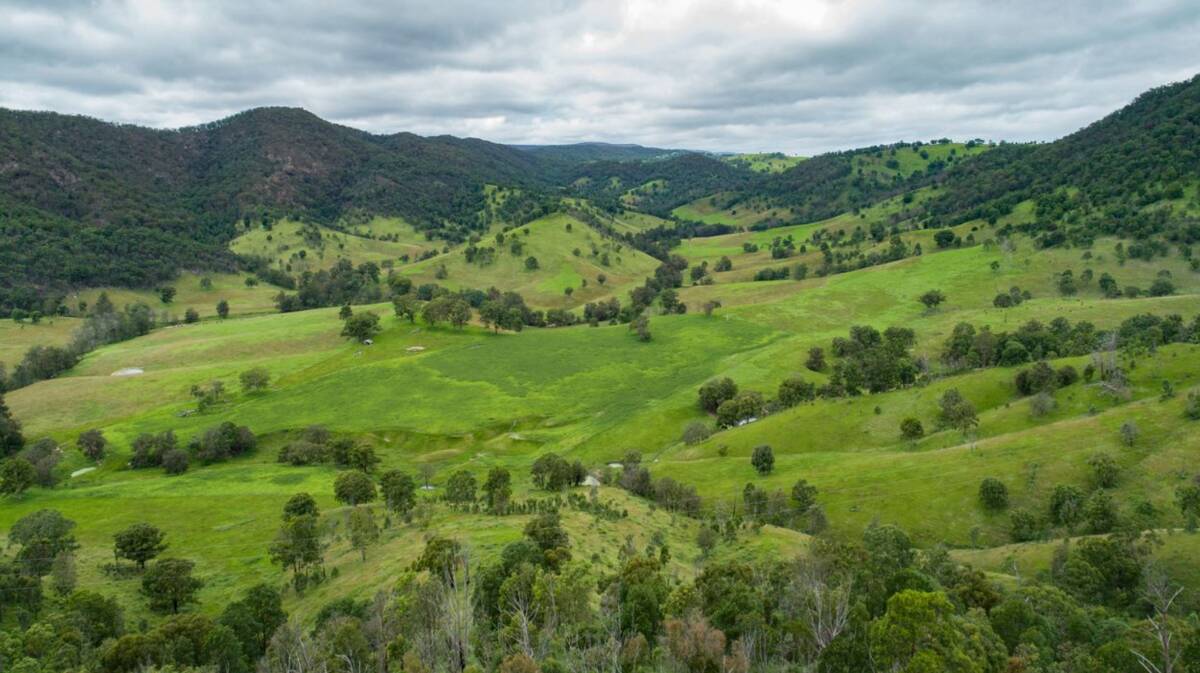 Clear Creek is a 714 hectare cattle property situated within a picturesque, sheltered valley. Picture - supplied