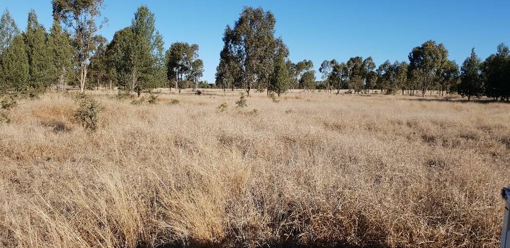 Mitchell property Dunkeld Station has sold before its scheduled auction by MAA Livestock and Property.