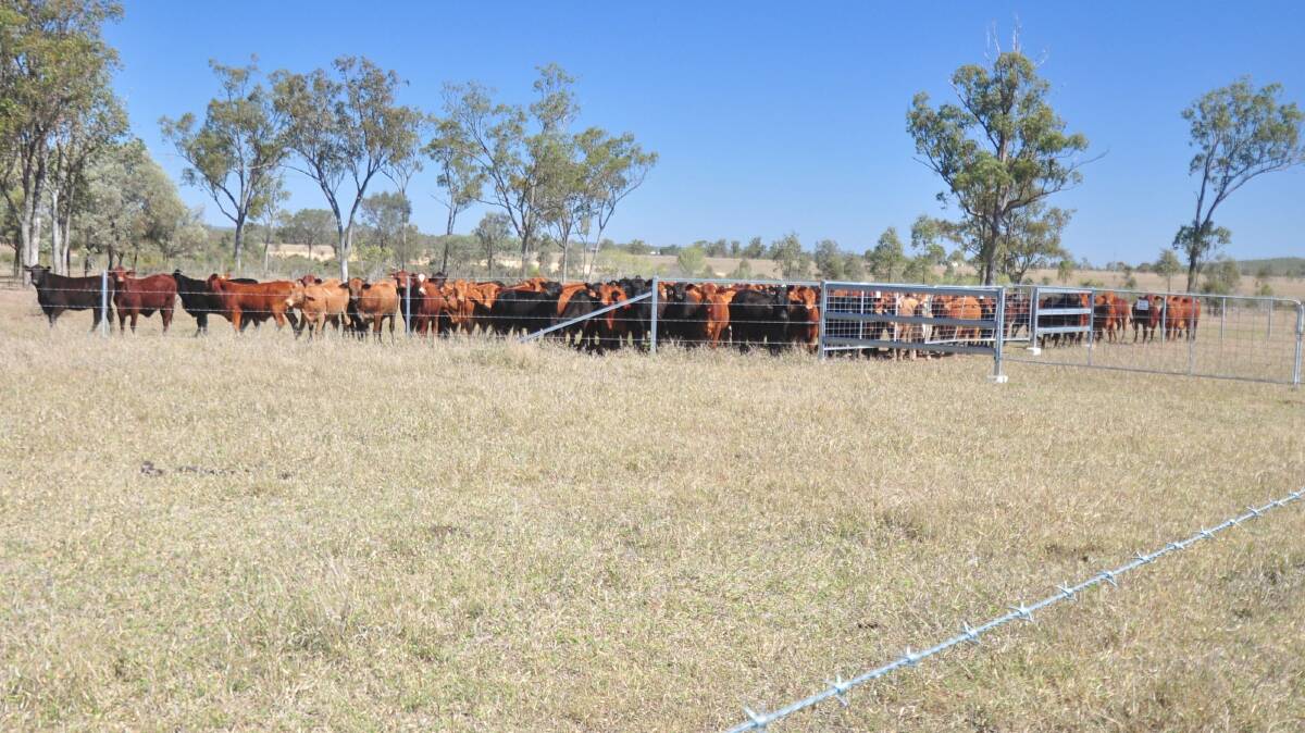 There are 11 main paddocks and two holding paddocks supported by a new laneway system with ample water coolers. Picture supplied