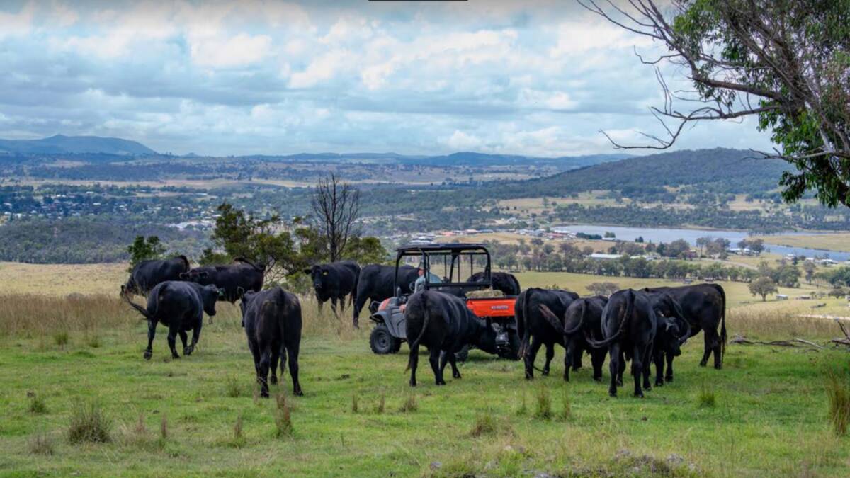 As a livestock business, Mackenzie Point has also benefited from more than a decade of soil and pasture management. Picture supplied