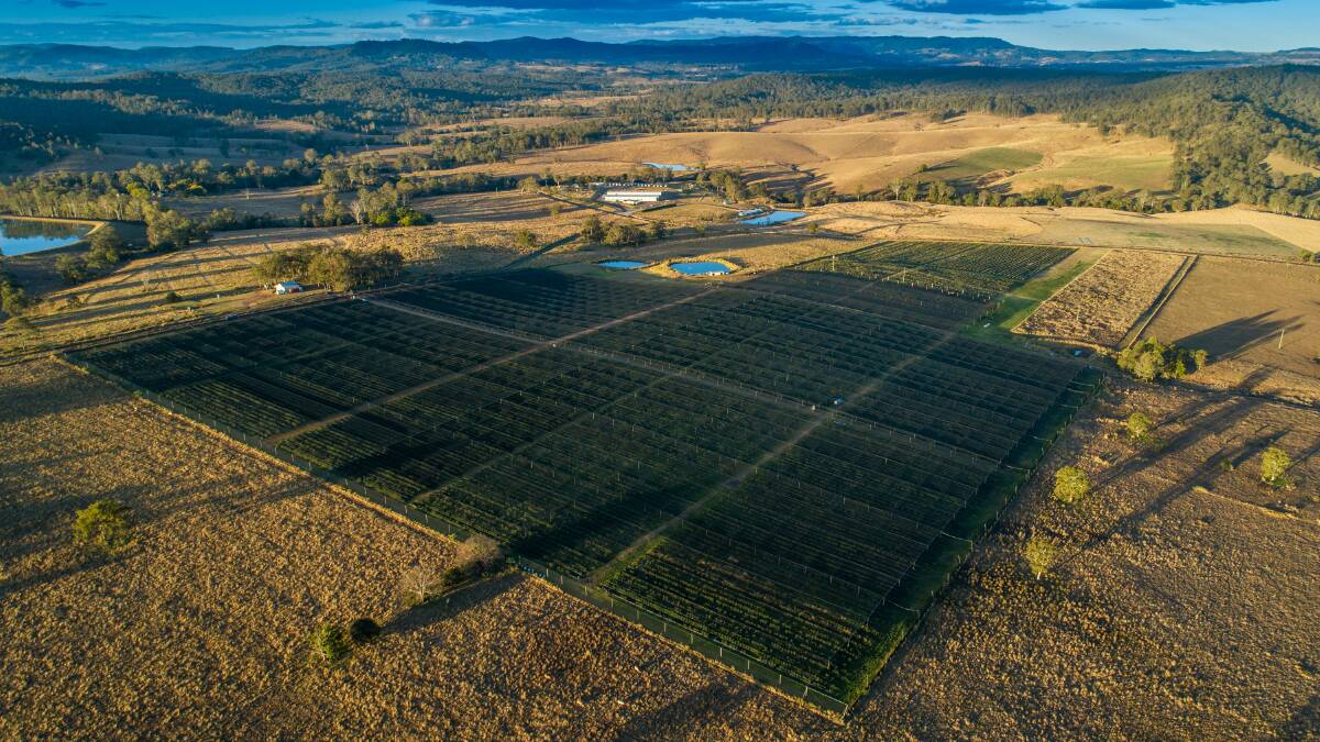 The 180 hectare property has about 27ha of established blueberries. Picture supplied