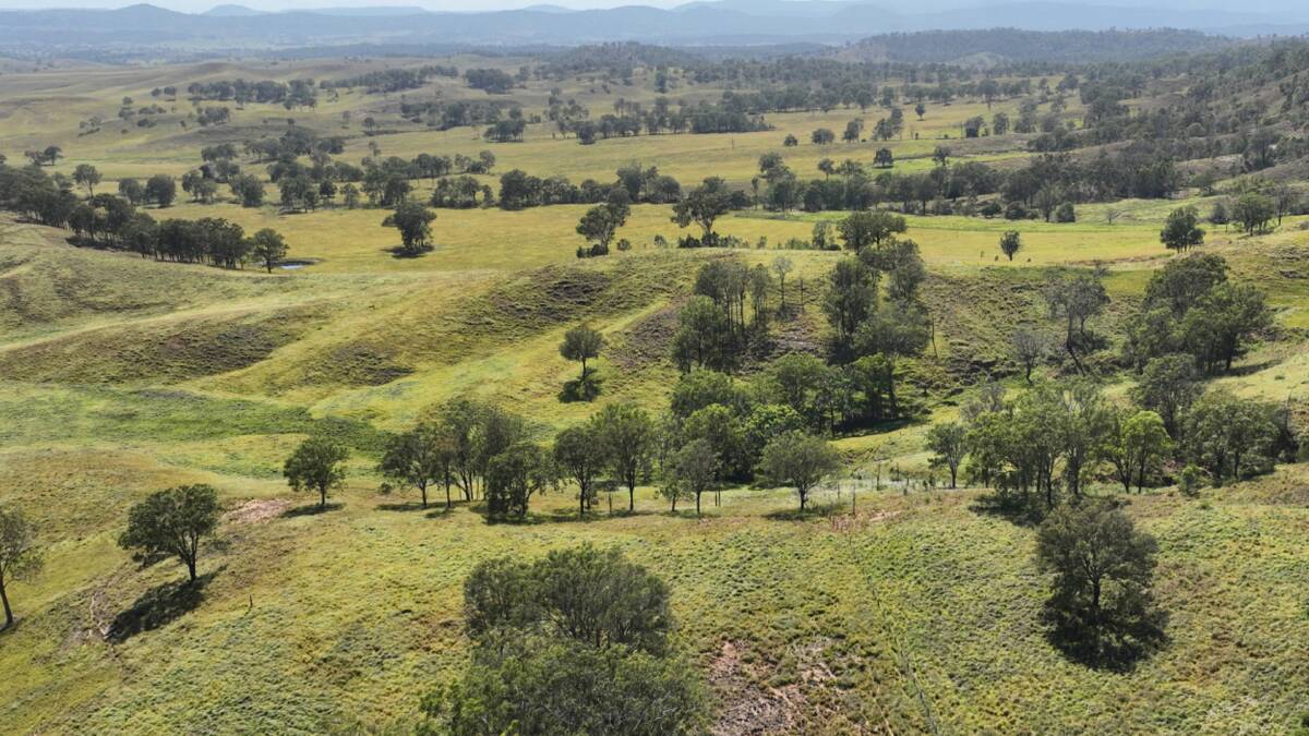 Spring Gully is described as being quality open forest grazing country divided into five paddocks. Picture - supplied