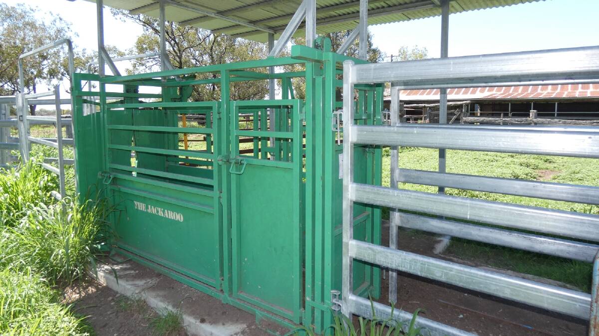 The steel and timber cattle yards are equipped with an uncover crush, calf cradle and loading ramp. Picture supplied