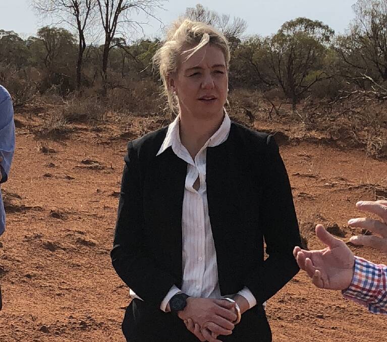 Senator Bridget McKenzie said the changes to the Farm Household Allowance reflect the nature of contemporary farming businesses.