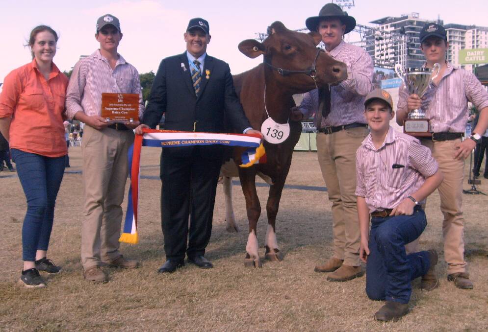 FNQ WINNER: Supreme champion cow of the 2019 Royal Queensland Show, Eacham Vale Precious 7, held by owner Greg English with Alison Teese, Patrick English, sponsor Wayne Bradshaw, Jefo, Angus Berwick and Jerry English.