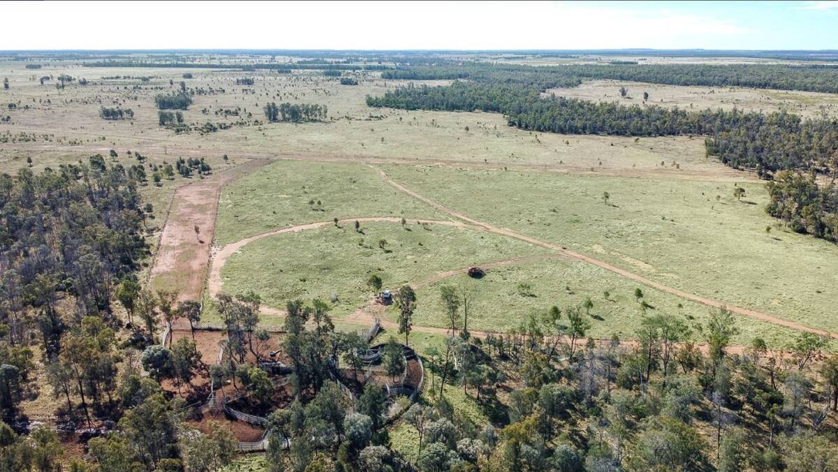 Condamine property Moraby will be auctioned online by Nutrien Harcourts GDL on September 29.