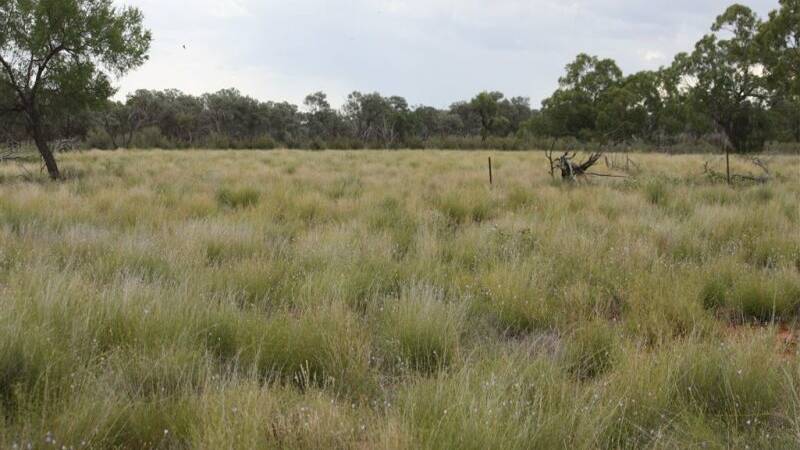 SOLD: Tim and Meredith Ecroyd's 45,600 hectare Thargomindah property Besm has sold.