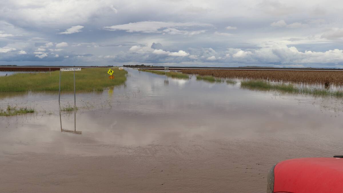West Prairie: Some 30 to 40 per cent of the Darling Downs sorghum crop could still be standing in water logged paddocks. Photo - Gayle Pedler