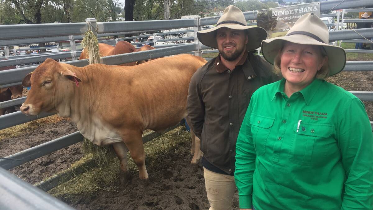 Beenleigh State High School agriculture teacher Jake Whittle and Bronwyn Betts, Nindethana Droughtmasters, Camp Mountain, with the $4750 top priced heifer Nindethana June.