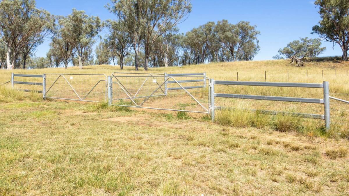 A large majority of Lucella has been refenced with new cattle fencing in the past five years. Picture supplied
