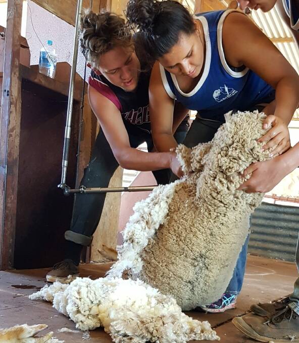 The South West Blue Light Shearing Program is having a big impact in outback Queensland.