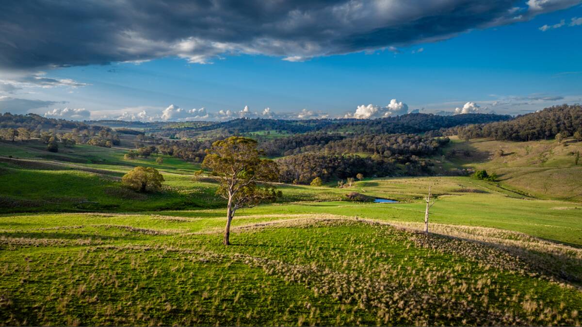 Sugarloaf is 542 hectares of country on the Wollomombi River, ideally suited to cattle, lambs or superfine wool production. Picture supplied
