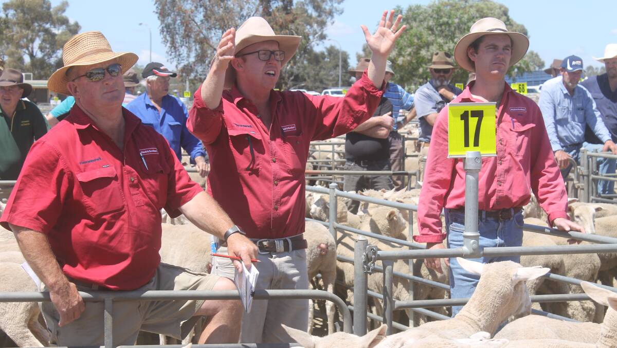 The Paull & Scollard selling team at a recent Corowa sheep sale