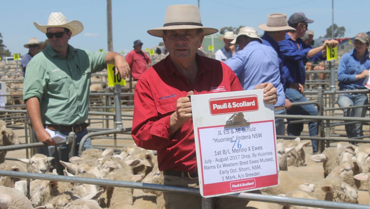 Paull & Scollard co-principal, Steven Paull pictured at a recent Corowa sheep sale.