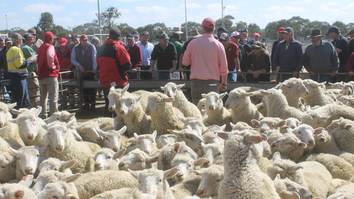 Bendigo agents have back-flipped on a previous decision to conduct Thursday mutton sales. 