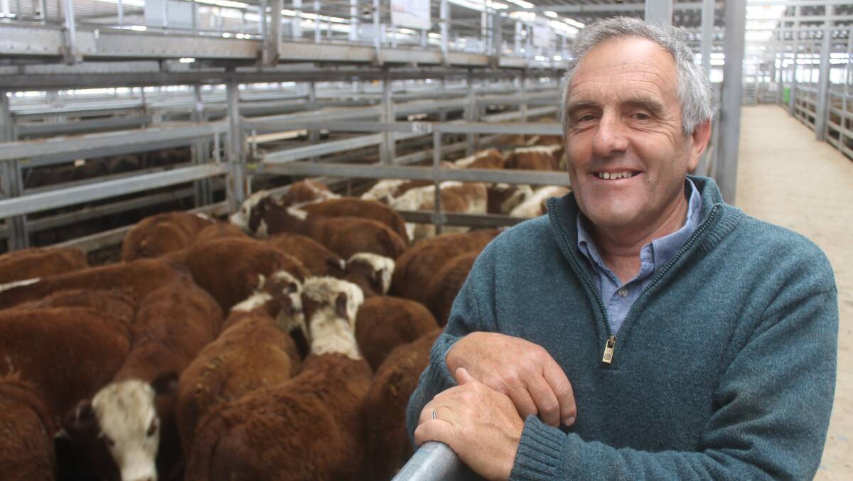 Booroola manager, Laurie Bullen, with his last draft of Yavenvale-blood Hereford calves he will sell before leaving the Avenel-district property and retiring at the end of the year.