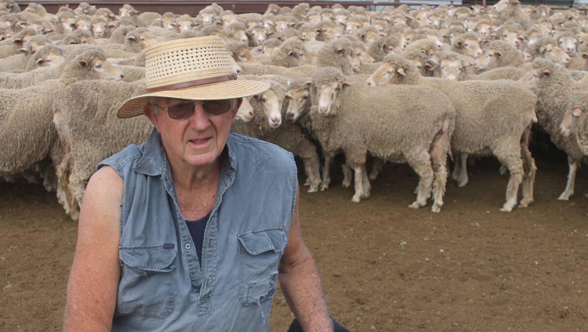 Pat Drum, Balldale, will disperse his Eagles Nest breeding flock this Thursday November-23, following the Corowa, NSW special sheep sale.