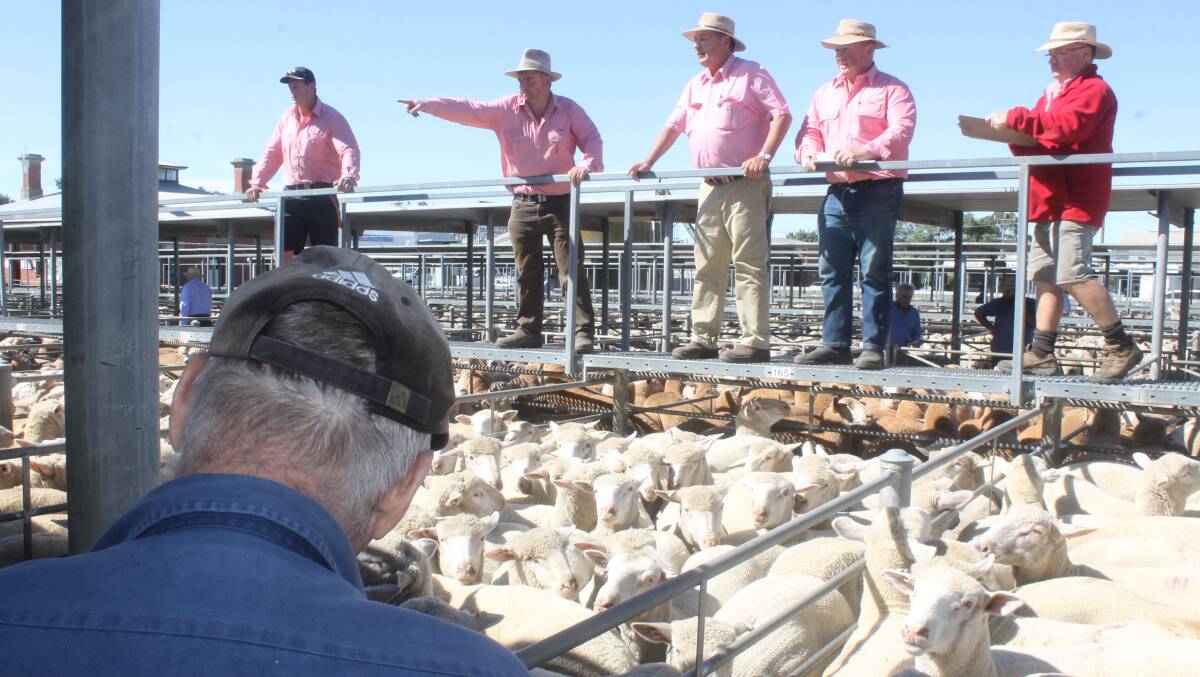 With the eastern states' kill up 5.5pc and February saleyard numbers down 15-20pc, questions can be asked on the potential of the winter supply.