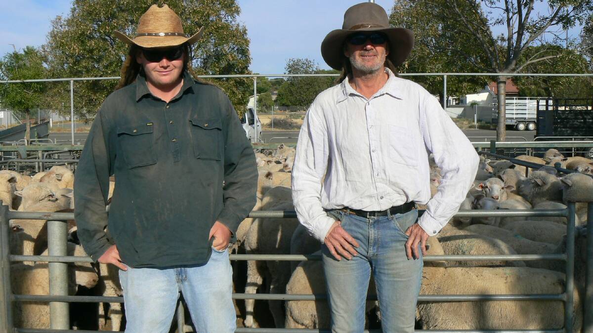 Cooper and Jack Young from Walpeup sold 49 crossbred lambs at the Ouyen market on Thursday. 