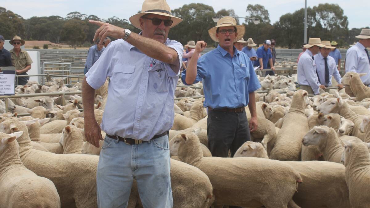 Bendigo young ewes to $330, ewe lambs to $302