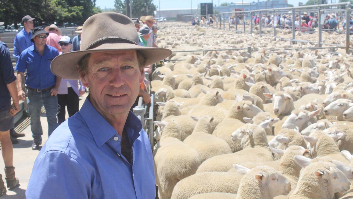 Honored again to be selected for a second year running as the best grown yard of Ballarat's January sale, Rob Armstrong, Dobie (near Ararat) secured $338 then $336 a head for two yards of his Cornhill Partners BLM-cross young ewes.