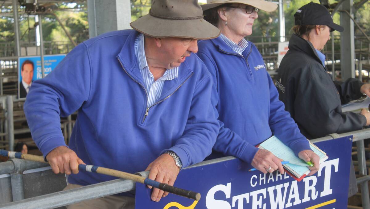 Charles Stewart Dove principle, Terry Dove and wife Marilyn on the book, work hard sourcing bids during the Colac store cattle market. 