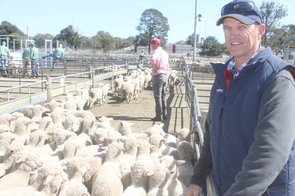Buy-up: With frosted crops, Katamatite's Russell Barnes has turned to lamb finishing to make the best of a bad situation.