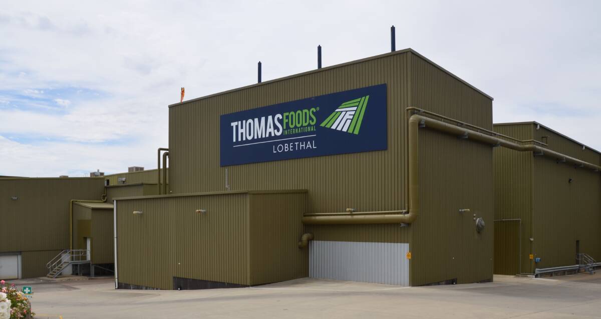 Sheep processed at Thomas Foods International's Lobethal plant will only be tested for ovine johnes disease at the producer's request after the company moved to a voluntary surveillance system.
