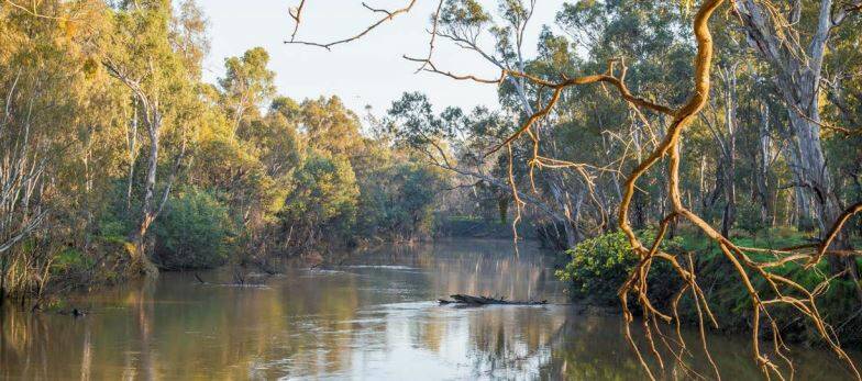 'Top-down approach won't work' in Murray-Darling Basin decisions