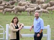 Farmers 2 Founders managing director and co-founder Christine Pitt and head of venture growth and investment Duncan Ferguson. The organisation is scaling up more agtech startups in Queensland than ever before. Picture supplied