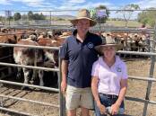 D’Arcy and Grace Fitzgerald, Omeo, sold 33 Hereford/Shorthorn-cross steers, 9-11 months, at the Omeo Hereford sale.