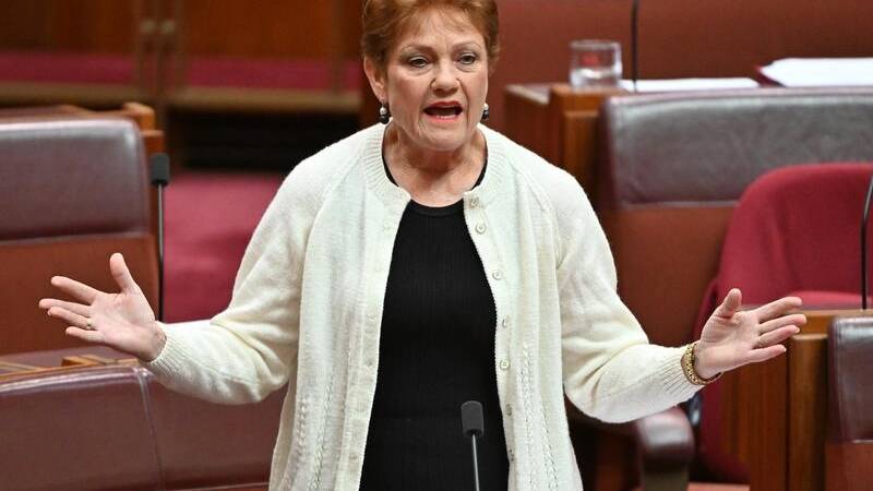 Senator Pauline Hanson referred Glencore's Great Artesian Basin carbon capture and storage proposed trail for Senate scrutiny. Picture by Mick Tsikas/AAP PHOTOS. 