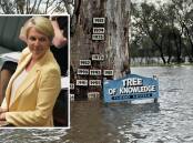Environment and Water Minister Tanya Plibersek has committed to delivering the Murray-Darling Basin Plan in full. 