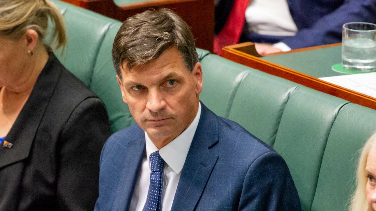 Shadow Treasurer Angus Taylor designed the divestiture policy with Nationals leader David Littleproud. Picture by Elesa Kurtz.