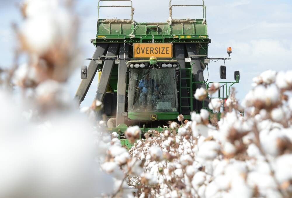 Namoi Cotton's share price has jumped after Olam's latest bid offer. File photo.