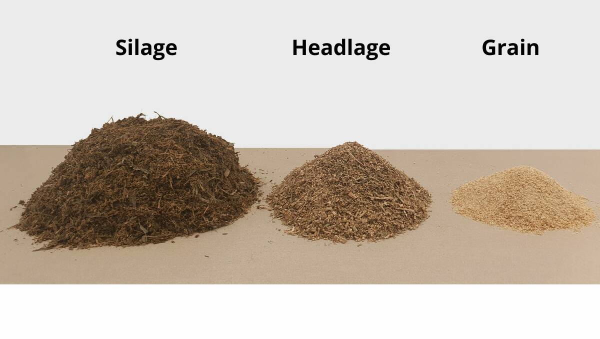 Figure 2: Volume differences of white sorghum silage, white sorghum headlage and barley grain when feeding the same amount of starch.