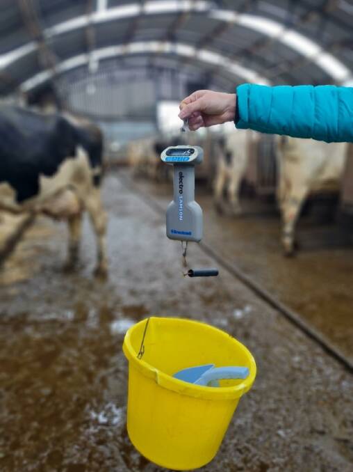 Most concentrate feeding systems can be checked using a simple weigh balance, a plastic bucket and a small investment of time.