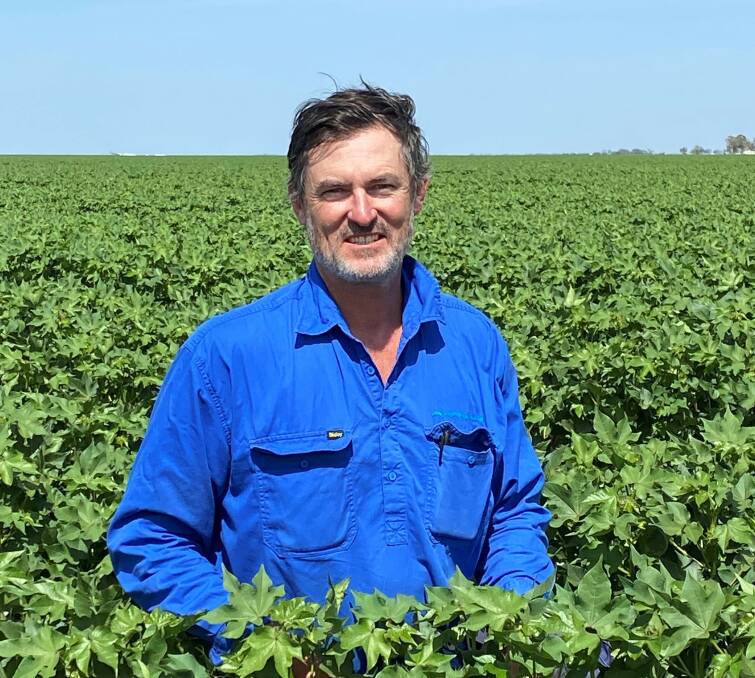Will Woolcock in a field of irrigated Sicot 606B3F cotton at late flowering-early boll fill on Gunedra, Wee Waa, which he manages for MH Premium Farms. Picture supplied.