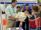WoolProducers general manager Adam Dawes showing Saigon Tex delegates greasy wool. Picture supplied. 
