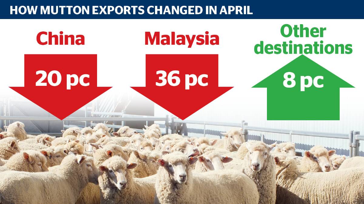 Even though mutton exports to China and Malaysia eased in April, the overall export figures for the month remained high. 