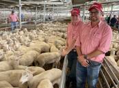 Jacob Kerrisk and Michael Coggan, Elders, whose client JT and SG Walker, Yass, NSW, sold the top-priced pen for $100 at Yass last week. Picture supplied